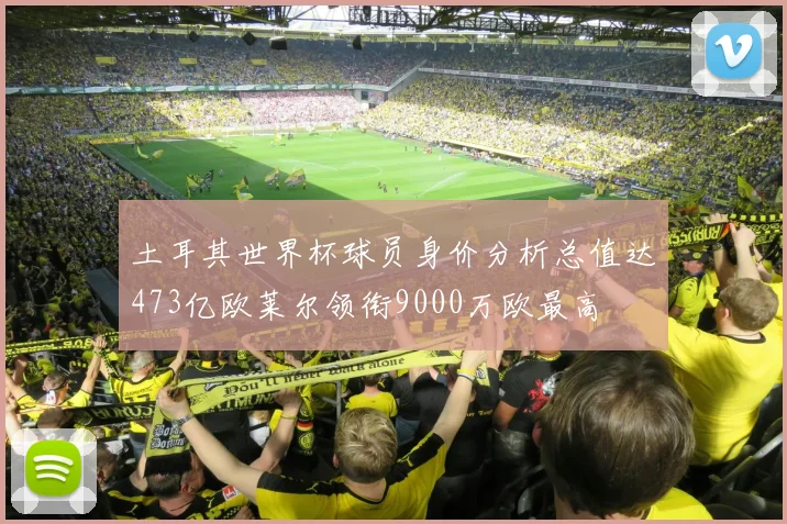 土耳其世界杯球员身价分析总值达473亿欧莱尔领衔9000万欧最高