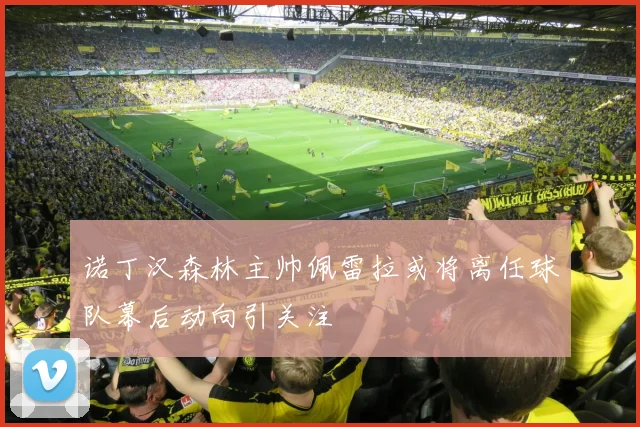 诺丁汉森林主帅佩雷拉或将离任球队幕后动向引关注